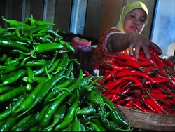 Makan Cabai Saat Sahur dan Berbuka, Nikmat Tapi Ada Risikonya