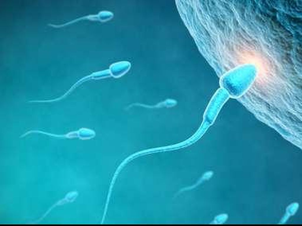 Dibanding Penampilan, Kecerdasan Donor Sperma Kini Lebih Diperhitungkan