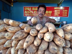 Jangan Sembarangan Catut Nama, Kini Ubi Cilembu Kantongi Hak Eksklusif