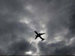 Ada Burung Masuk Mesin, Japan Airlines Mendarat Darurat di Tokyo