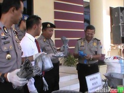 Polisi Probolinggo Gerebek Home Industry Petasan