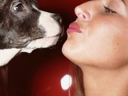 Anjing Positif COVID-19, Hong Kong Imbau Warga Tak Cium Peliharaan