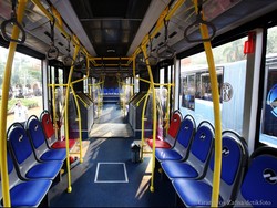 Dirut TransJ: Sopir yang Lakukan Pelecehan Seksual Akan Dipecat