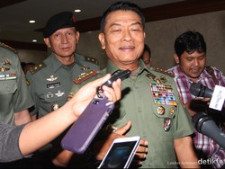 Soal Hasil Investigasi Tragedi Hercules, Panglima TNI: Butuh Waktu 2 Minggu