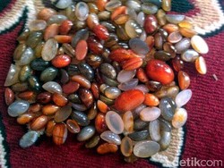 Waduh! Air Rendaman Batu Akik Jadi Sarang Nyamuk Demam Berdarah