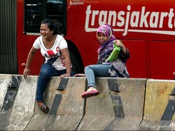 Dishub DKI: Dirut TransJ Harus Dievaluasi, Masa Urus 12 Koridor Nggak Bisa?