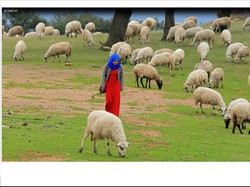 Bias Islam di Utara Yunani