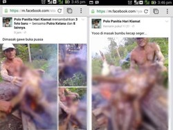 Orangutan Kalimantan Dibakar dan Fotonya Dipajang di Facebook