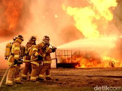 Kebakaran Hutan di California: 2 Orang Tewas dan Ribuan Lainnya Mengungsi