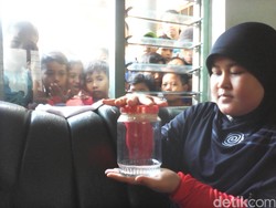 MUI Jombang Imbau Masyarakat Tak Mudah Percaya Tuyul