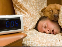 Tahan Begadang Bisa Jadi Petunjuk Kepintaran