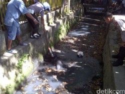 Jambret Nyemplung di Selokan, Motornya Dibakar Massa