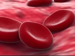 Cerita Sarah, Pemilik Golongan Darah Baru yang Unik