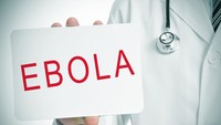 Waspada Ebola, Kemenkes Minta Warga +62 Cek Gejala Ini Sepulang dari Luar Negeri