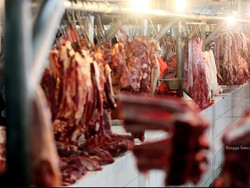 10 Negara Produsen Daging Sapi Terbesar di Dunia, RI Termasuk?