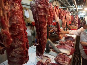 Harga Sapi Bakalan Australia Sulit Turun AUD 1/Kg, Ini Sebabnya Harga Sapi Bakalan Australia Sulit Turun AUD 1/Kg, Ini Sebabnya