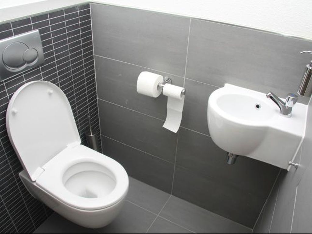 Selain Alexander Cumming, Ternyata Ini Dua Tokoh Penemu Toilet Lainnya