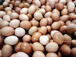 Mendag Sebut Piala Dunia hingga Pilkada Bikin Harga Telur Naik Mendag Sebut Piala Dunia hingga Pilkada Bikin Harga Telur Naik