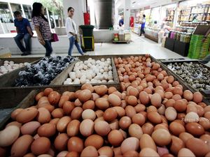 Kemendag Telusuri Penyebab Harga Telur Melonjak