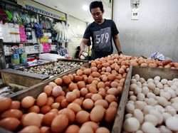 Mantap! THR Daging dan Telur Sudah Cair