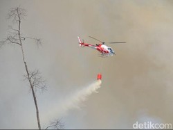 Dari Water Bombing hingga Hujan Buatan, Upaya Padamkan Kebakaran Hutan