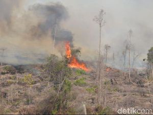 Draf Final UU Ciptaker: Boleh Buka Lahan Lewat Pembakaran Berkearifan Lokal