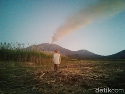 Meski Takut Letusan Gunung Raung, Warga Tetap Beraktivitas
