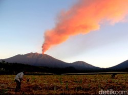 Letusan Gunung Raung Justru Tak Berdampak ke Bandara di Banyuwangi dan Jember
