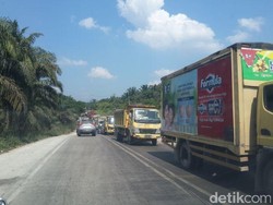 Jalintim Buka Tutup, Bupati Pelalawan: Jelang Lebaran akan Selesai