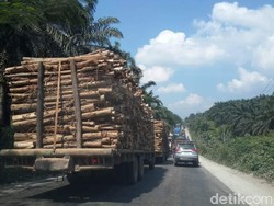 Hindari Kamacetan, H-10 Sistem Buka-tutup Jalinsum di Riau Tidak Ada Lagi