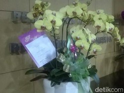 Ruki: Kiriman Anggrek dari Taiwan Sudah Dilaporkan ke Bagian Gratifikasi