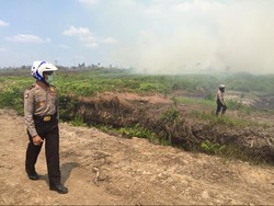 Kapolda Kalbar Bahu Membahu dengan Warga Padamkan Api di Lahan Gambut