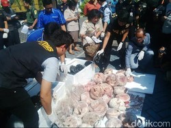 Penyelundupan 1.390 Kg Daging Trenggiling ke Singapura Digagalkan