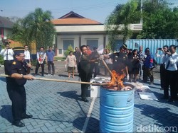 Daging Trenggiling Rp 3,4 Miliar Gagal Diselundupkan Dimusnahkan
