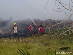 Kepala Balai Tesso Nilo Duga Ada Unsur Kesengajaan Terjadinya Kebakaran