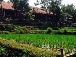 Kerennya SMP Negeri Bertema Alam di Purwakarta, Sekolahnya Gratis