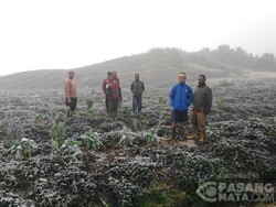 BMKG Cek Fenomena Hujan Es di Distrik Agandugume Papua