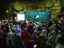 HUT Ke-23, Ancol Santuni 1.000 Anak Yatim dan Buka Kembali SeaWorld