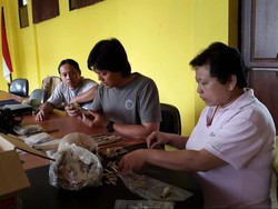 Arkeolog Teliti Temuan Tengkorak Manusia Masa Lampau di Jayapura