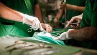 10 Lagu Metal yang Sering Diputar di Kamar Operasi