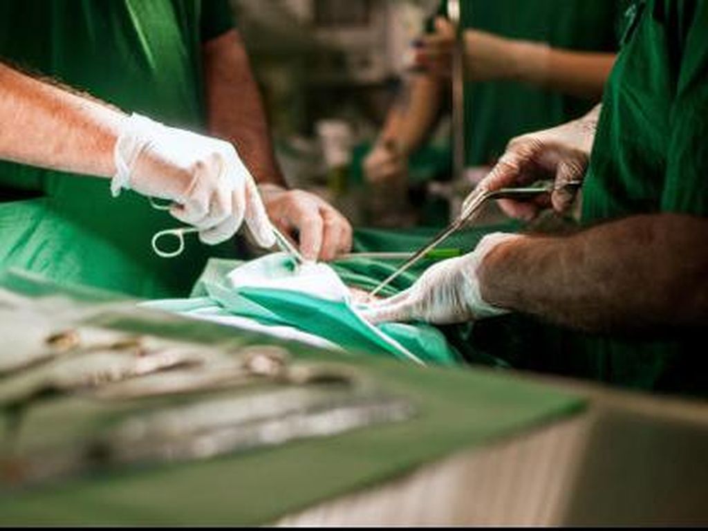Operasi Plastik Gagal Total, Tubuh Wanita Ini Penuh Luka dan Lebam