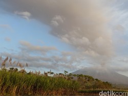 Erupsi Gunung Gamalama dan Sinabung, Total 12.616 Orang Mengungsi