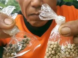 Jelang Lebaran, Merica Palsu Beredar di Pacitan