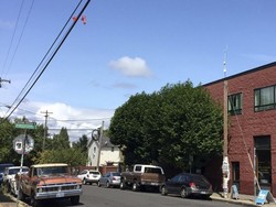 Aneh, Ada Ratusan Mainan Seks Bergantungan di Kabel Listrik