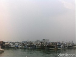 TKI Nelayan di Korea Selatan Minta Pengiriman TKI Sektor Perikanan Disetop