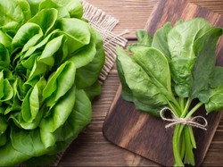 Bukan Untuk Langsing, Program Diet Ini Khusus Agar Otak Tak Cepat Pikun