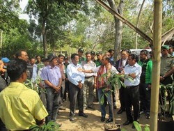 Presiden Timor Leste Apresiasi Bantuan 75 Ribu Bibit Pohon dari Indonesia