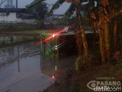 Bus Barito Nyemplung Sawah, Polisi: Sopir Kelelahan, Kaget Lewat Jalan Cor