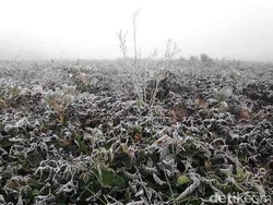 Pemerintah Kirim 50 Ton Bahan Makanan ke Papua yang Dihantam Hujan Es