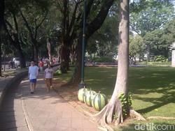 Wali Kota Jakpus: Taman Suropati Kawasan Ring 1, Harus Indah dan Tertib